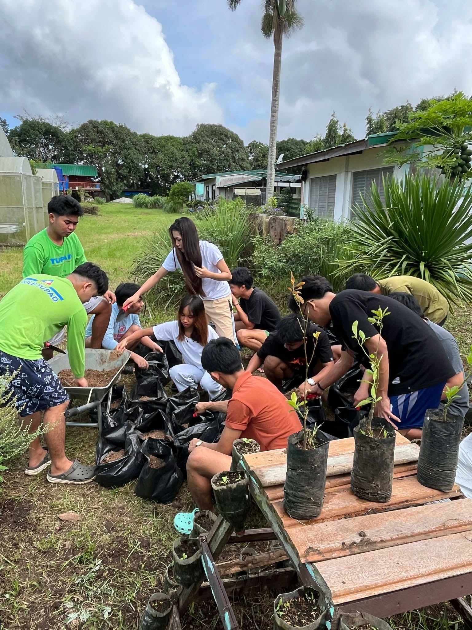 Agricultural Crops Production 4